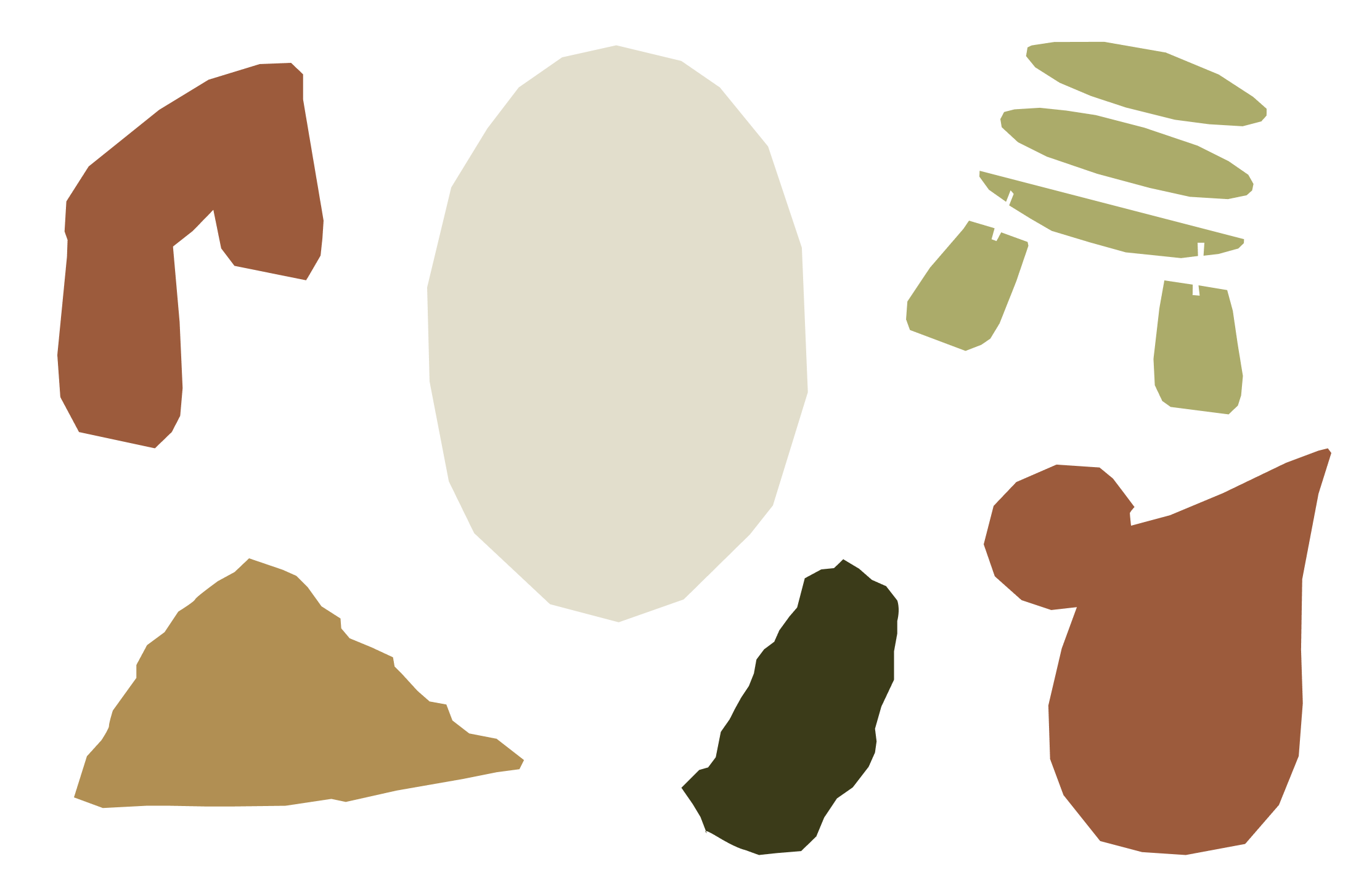 Vector shapes of different colours.